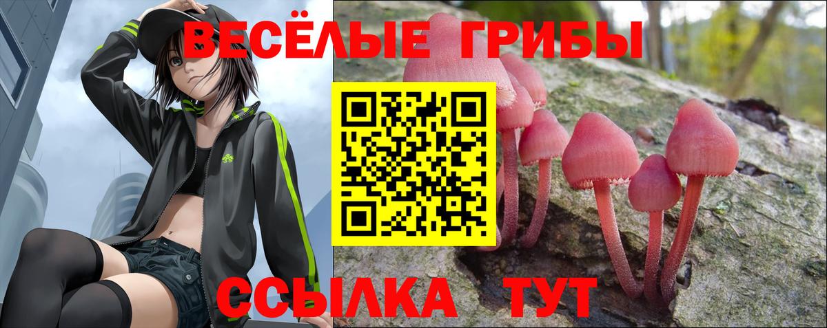 Электрогорск  Галлюциногенные грибы GOLDEN TEACHER  где купить наркотик  Псилоцибиновые грибы MAGIC MUSHROOMS  Вход с VPN 